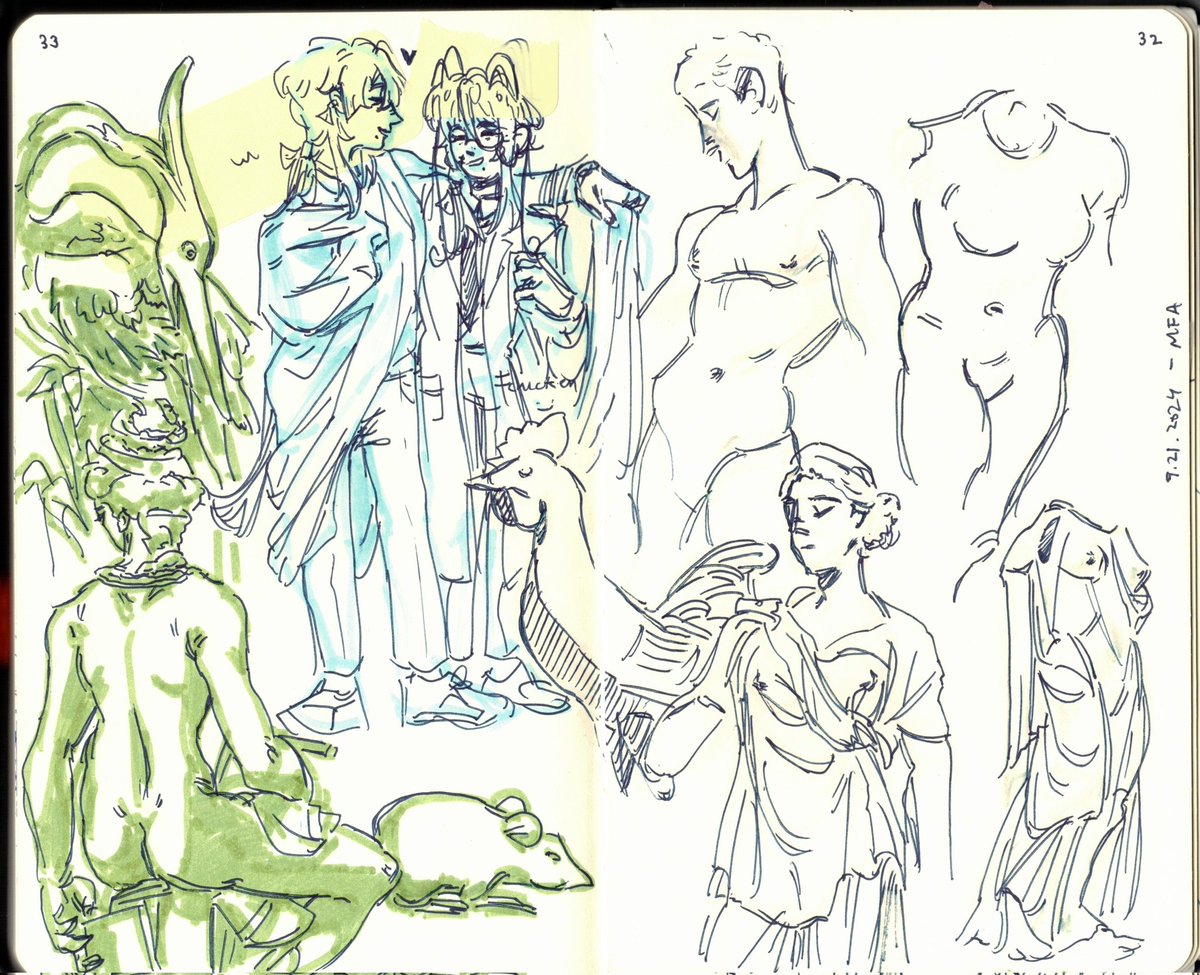 mfa visit