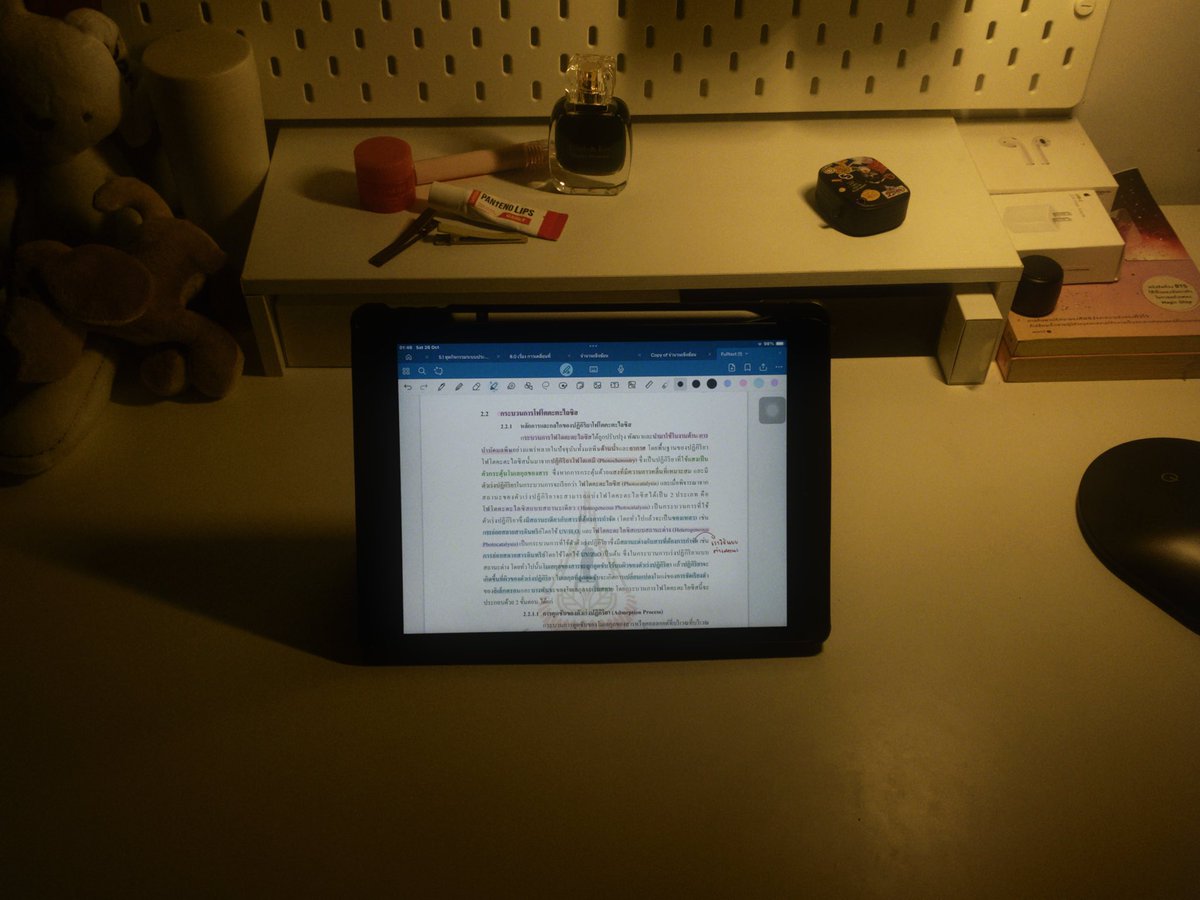 𓈒 𓈒 26 / 10 / 24⌇🌺

ฮือเค้าคัมแบคจิงจิงแนะ หายไปหลายเดือนเรย กลับมาเค้าได้ทำโครงงานค่ะ เลยต้องนั่งอ่านวิจัยจนดึกแบบนี้ ทุกคนเป็นไงกันบ้างคะ
แฮปปี้ม้าย ꒰ᐢ. .ᐢ꒱

( #dek69 #studygram #studywpopo )