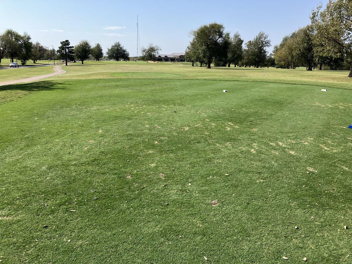 Fall 2024 overseed process. ✅