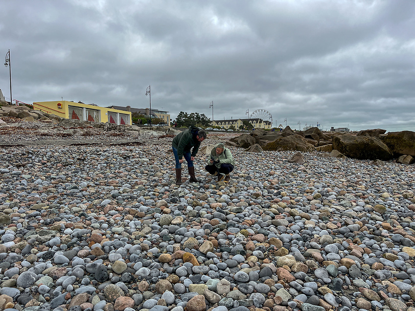 GalwayAquarium's tweet image. Thank you @AfloatMagazine for sharing our upcoming #FossilWalk Tomorrow! See; afloat.ie/port-news/galw…