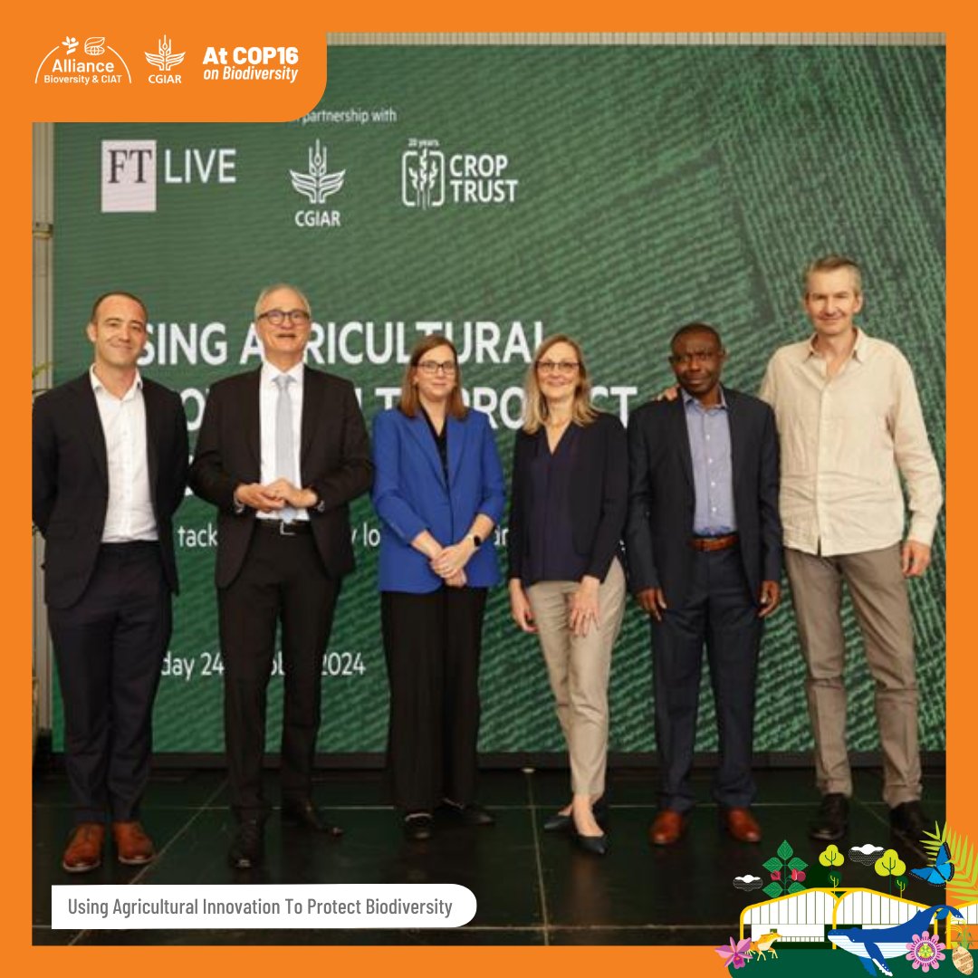 BiovIntCIAT_eng's tweet image. At our Palmira campus, we held a briefing on #biodiversity hosted by @ftlive in partnership with @CGIAR and @CropTrust during #COP16Colombia. We discussed how sustainable food production can become a driver of #landscaperestoration and #climateaction. protectbiodiversity.live.ft.com/home