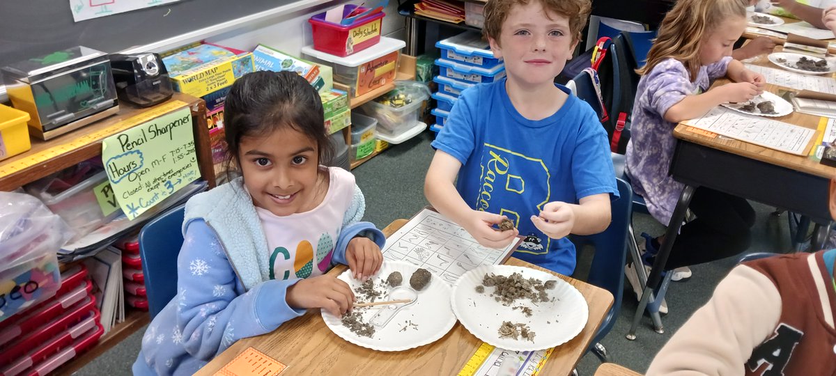 Our Science Team loved investigation Owl 🦉 Pellets today after a week of studying these amazing animals! #RESBelieves #ElevateStafford