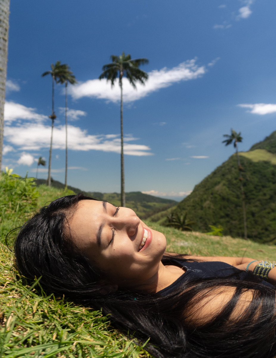 Jan Schick tweet media