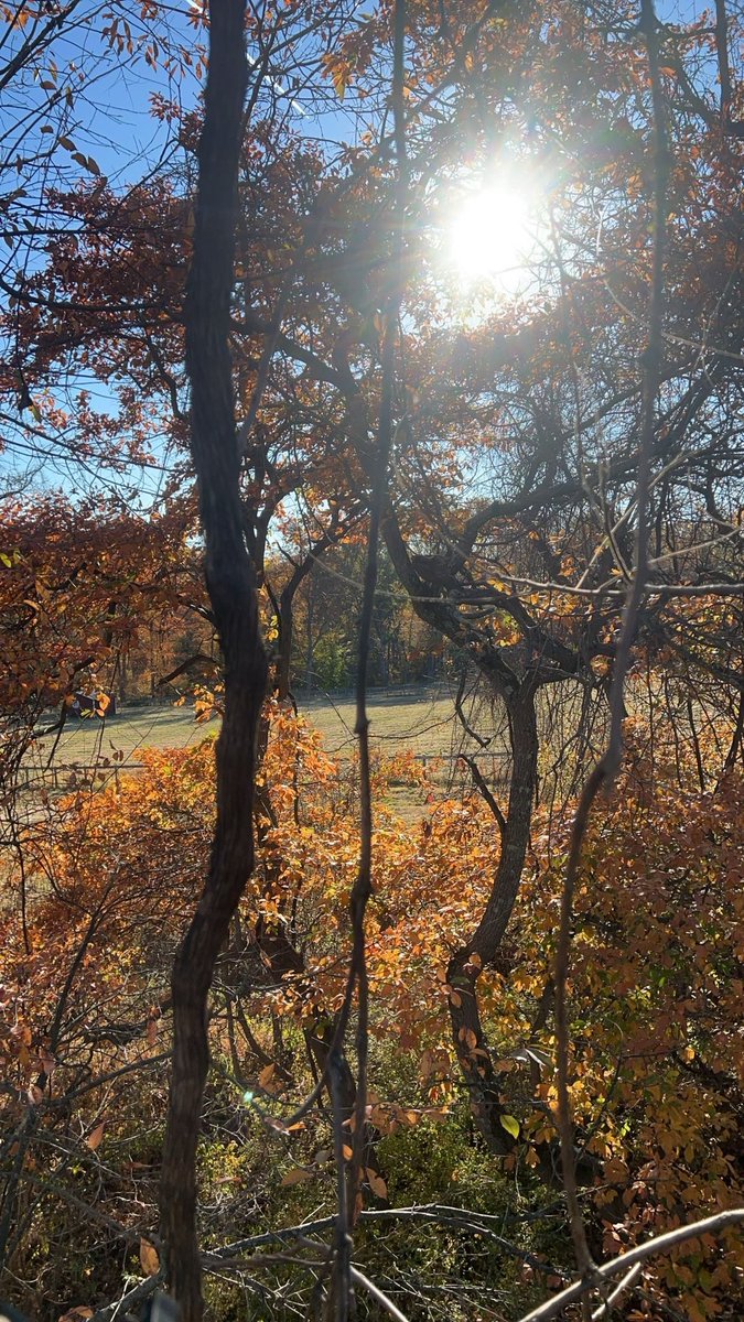 Jon Rodriguez (@jrod5513) on Twitter photo 