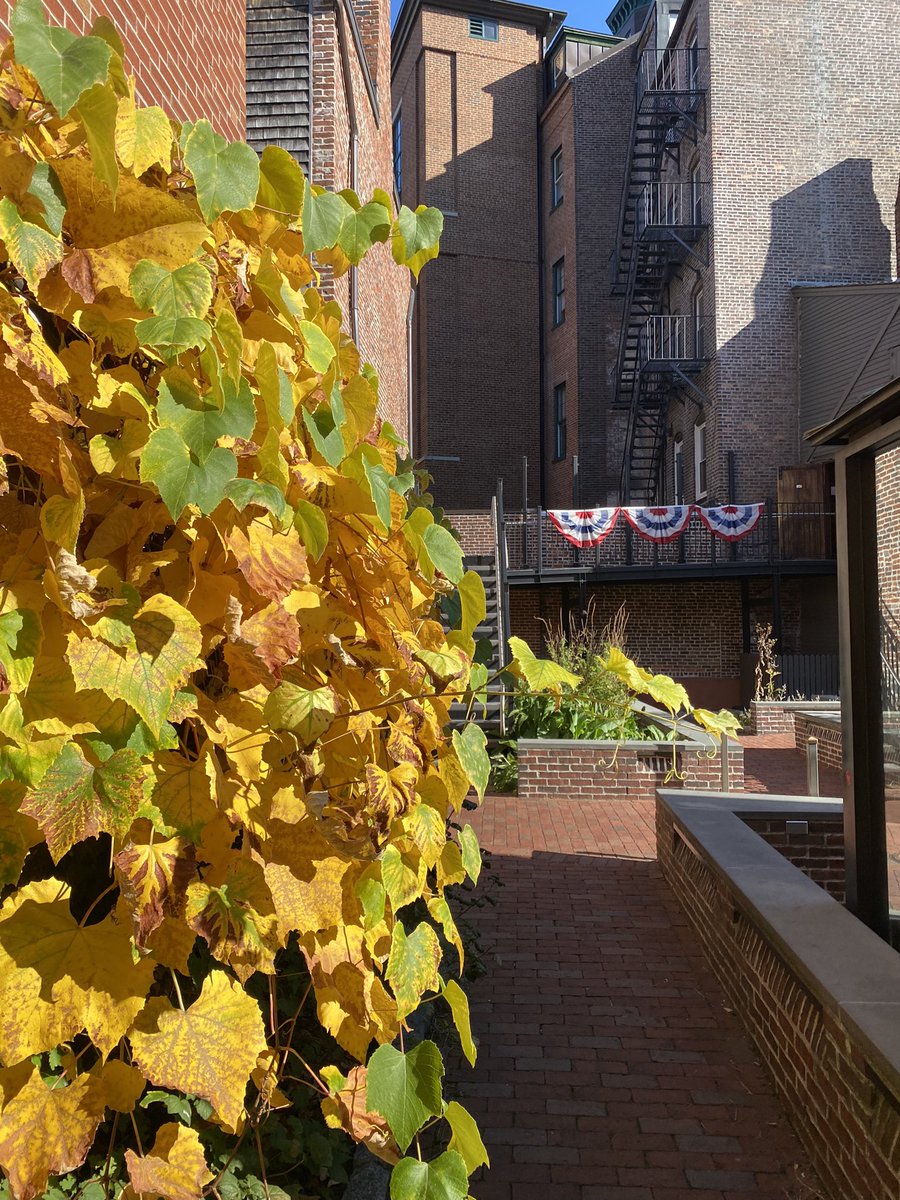 PaulRevereHouse's tweet photo. Happy #FallFoliageFriday from our #ConcordGrape arbor! Hard to beat this gorgeous weather we have been enjoying in New England! https://t.co/GylCVn5T3E