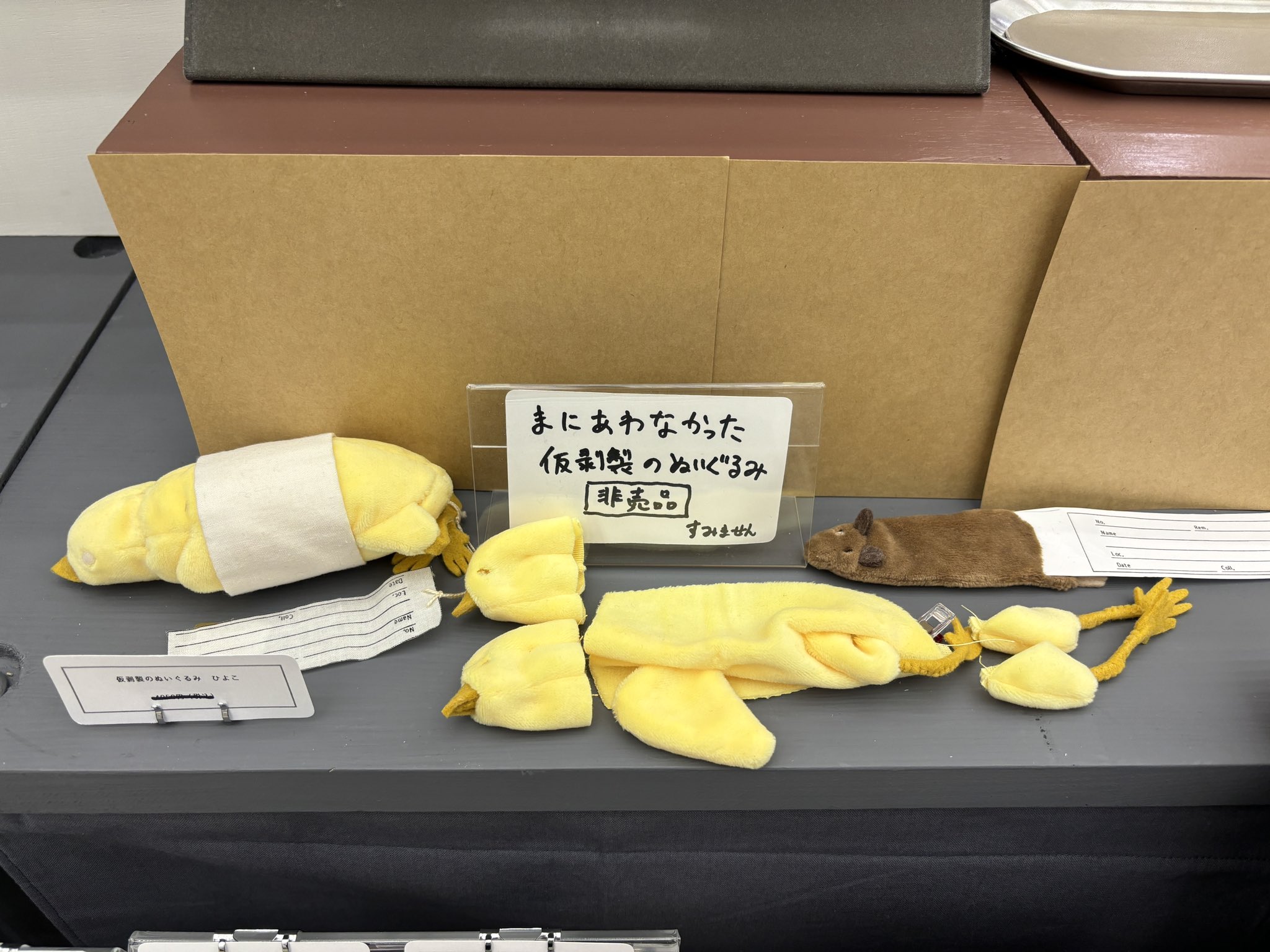 イトウの標本（剥製） 魚類・動物剥製|九大博20年ものがたり