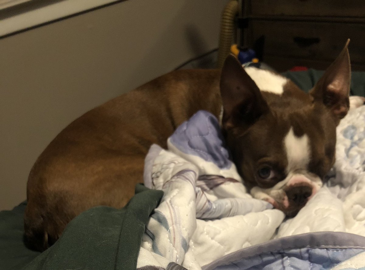 Wade and Boone 🇺🇸 tweet media