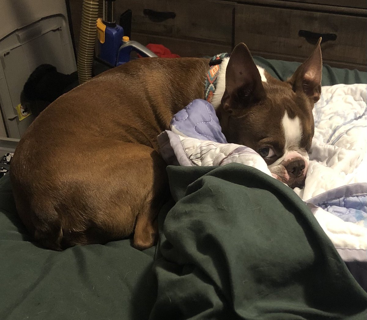 Wade and Boone 🇺🇸 tweet media