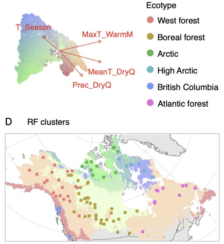 Mikhail Matz 🇺🇦 (@heatshok) on Twitter photo 3 years in the making! we present RDAforest, a landscape genomics methodology to identify environmental drivers of polygenic adaptation. With <a href="/kristi_leilani/">Kristina L Black</a> 3 years in the making! we present RDAforest, a landscape genomics methodology to identify environmental drivers of polygenic adaptation. With <a href="/kristi_leilani/">Kristina L Black</a>