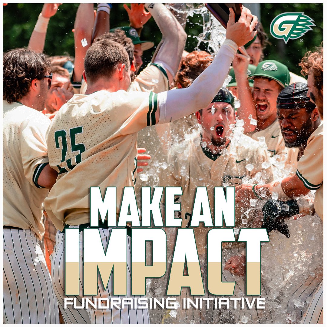 GGC Baseball tweet media