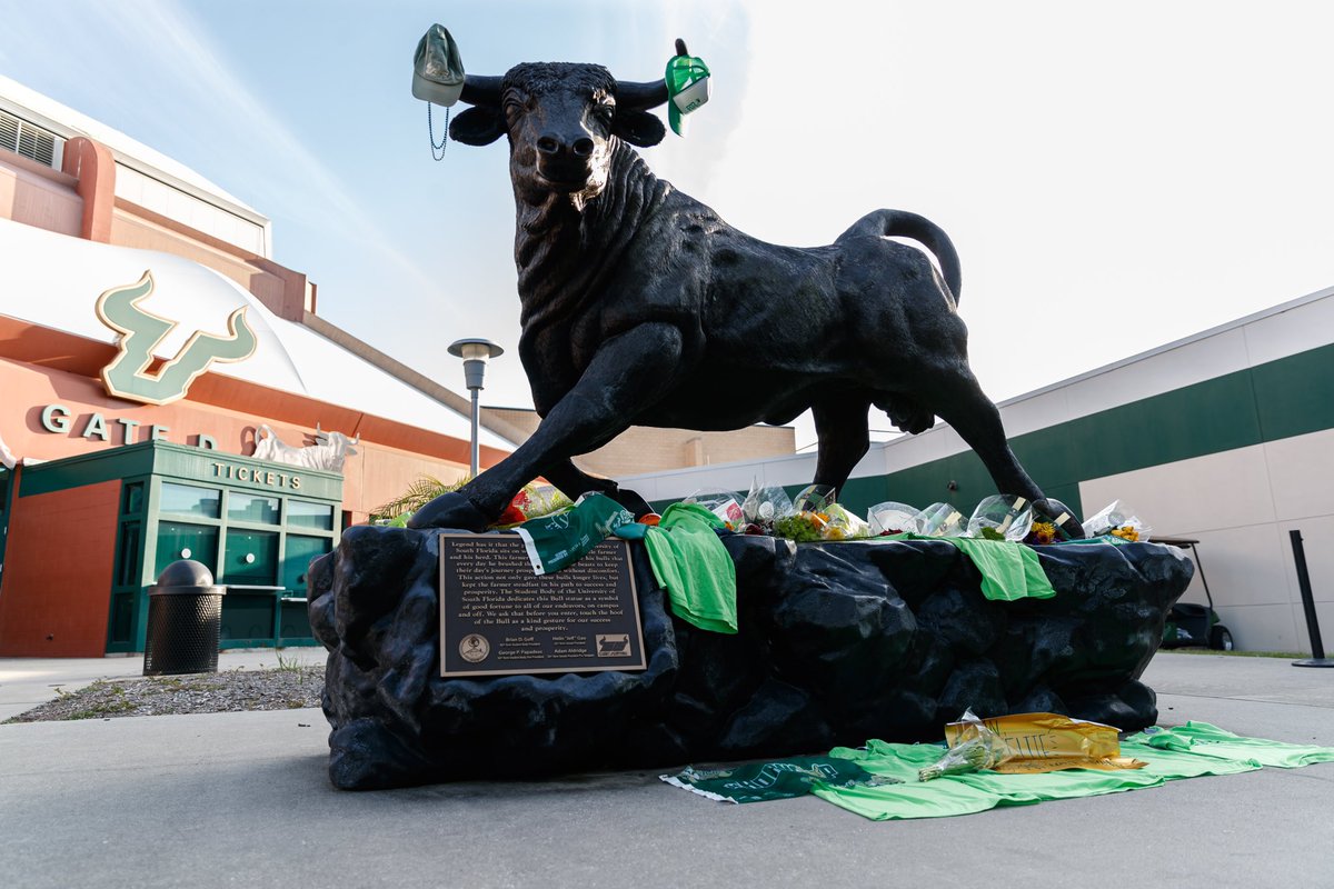 USFMBB's tweet image. 💚