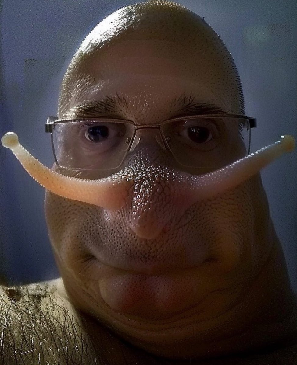 enderkitten252's tweet image. #imdoingit