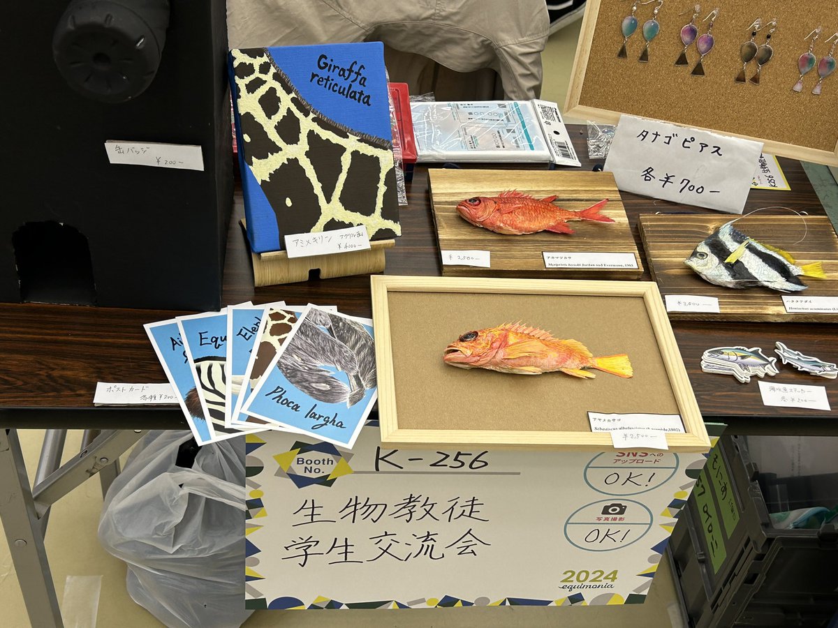 ブース設営完了しました！みなさまのご来場を会員一同楽しみにしております！！
#いきもにあ2024