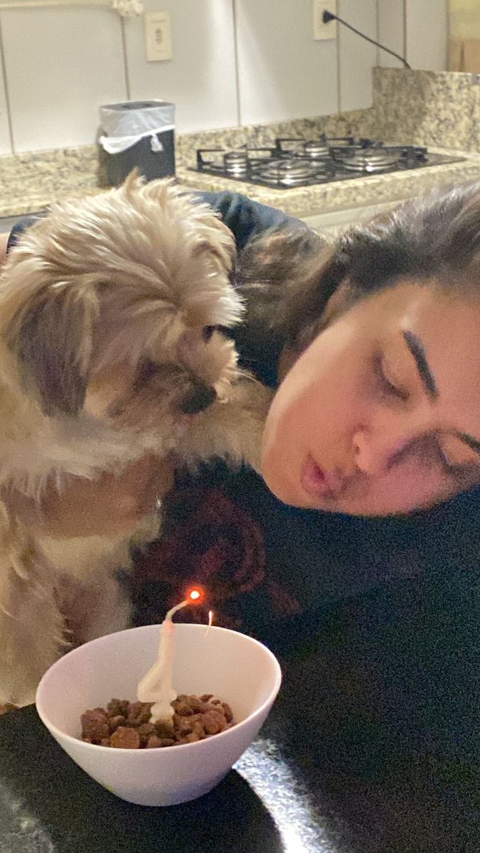 analigf's tweet photo. 4 anos do amor da minha vida! 🥹❤️ https://t.co/CrHjngfc0j