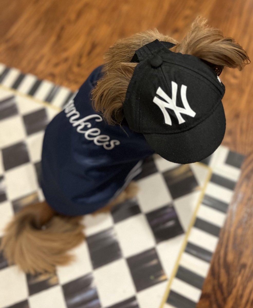 Mr. Mattingly is World Series ready! Let’s go Yankees!! ⚾️