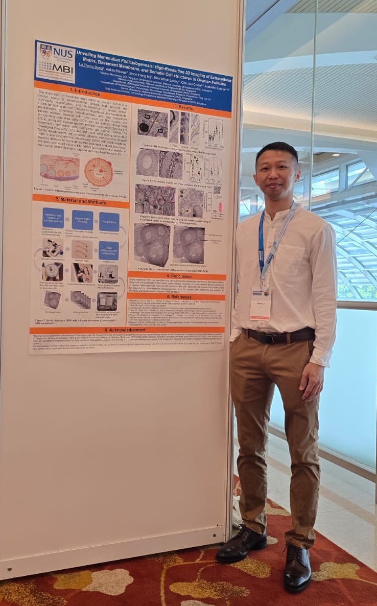 Electron Microscopy Unit Singapore (@emu_nus) on Twitter photo Presented our poster, at the Women’s Health Conference 2024, on a collaboration project with <a href="/MBIsg/">Mechanobiology Institute</a> on ovarian follicles. Presented our poster, at the Women’s Health Conference 2024, on a collaboration project with <a href="/MBIsg/">Mechanobiology Institute</a> on ovarian follicles.