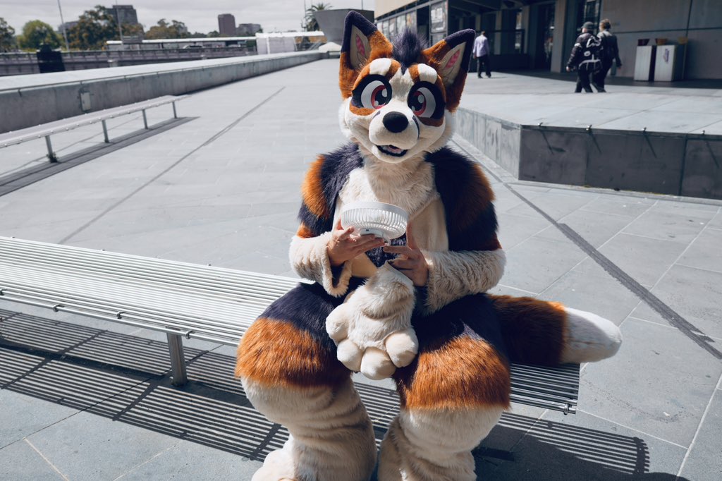 GenericFoxsuit's tweet photo. #hotfox https://t.co/aZhNa1Tm2l