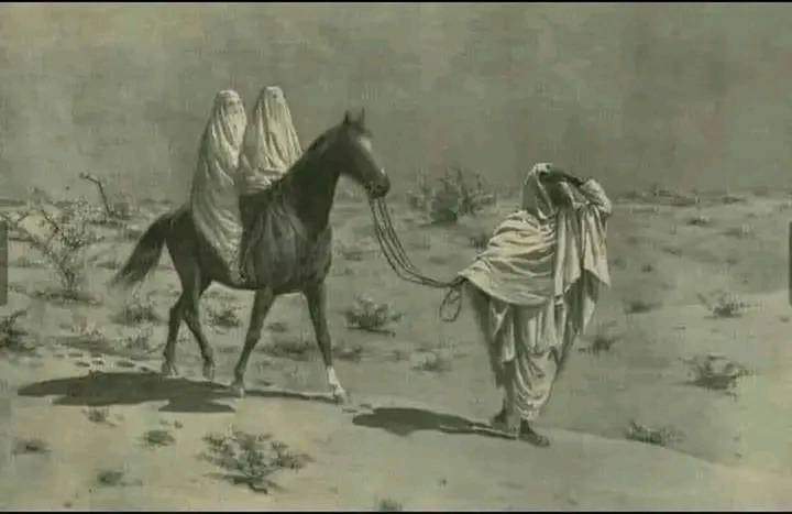 أغار على ظل الحليلة أن يُرى
وقولوا إذا شئتم بأني مُعَقّدُ
إذا لم يغر مرءٌ على عِرض أهلهِ
فليس له بينَ الأكارمِ مَقعدُ ..
#راقت_لي
#نقاء_الورد