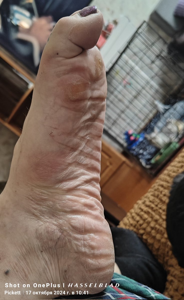 AmazonOlga's tweet image. 