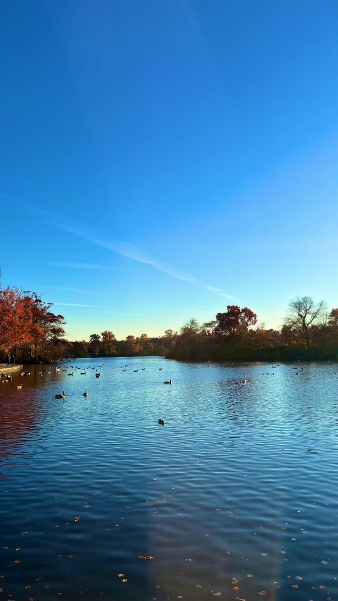 Ang_XoXo17's tweet image. Fall walk through Belmont today, beautiful Long Island weather 🍁