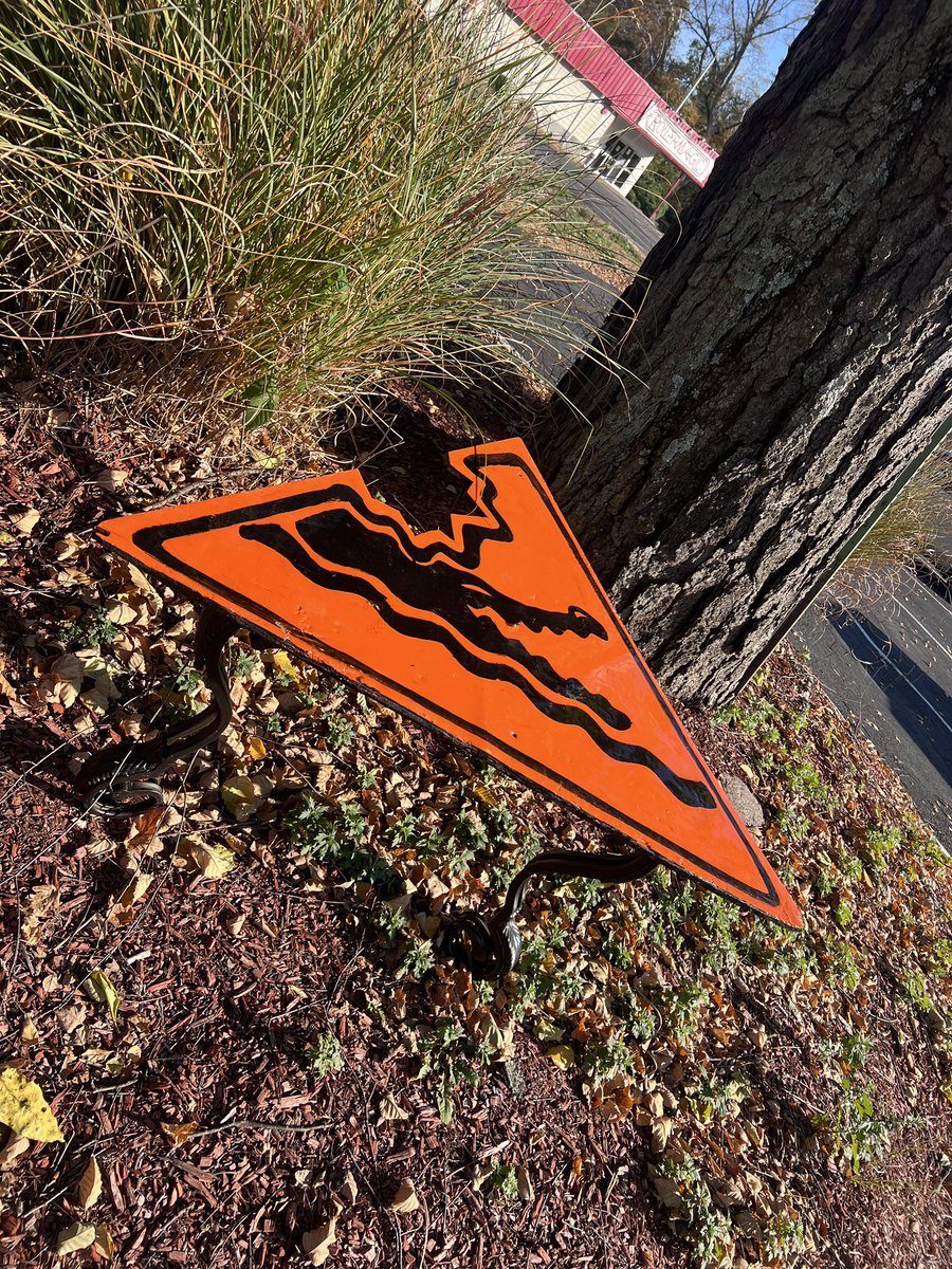 Fexazaur's tweet image. Someone was so hangry that they took a chunk outta the coffee table!! 🐊
Collab with @Stetzism , will be for sale at Furpoc with @animalartcrimes !!