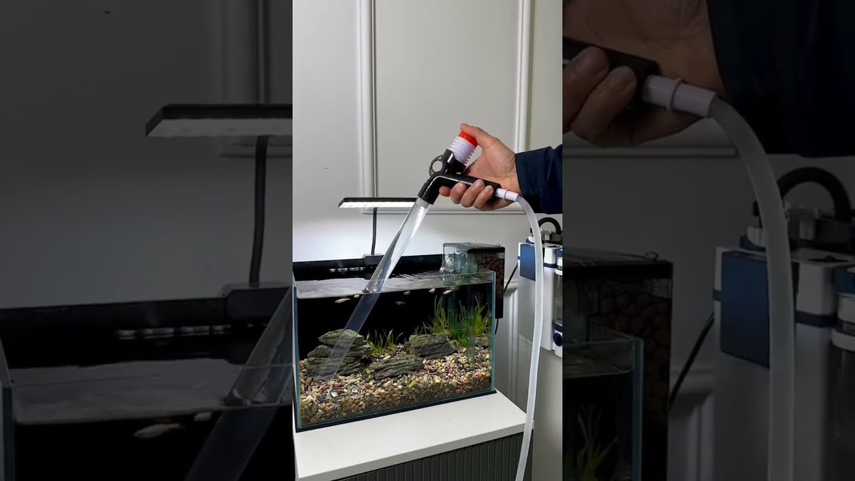 FlakeFood's tweet image. Aquariums: Fish tank water changer#mollytank #fishtank #fish #fishtanklife ...
 
flakefood.com/608339/aquariu…