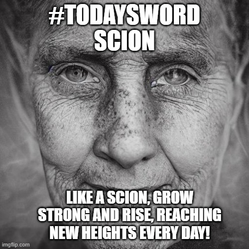 TheGuySmiling's tweet image. #TodaysWord
Scion is a young shoot or twig of a plant, or a descendant of a family.

Like you growing from your roots into something strong.

#GrowStrong 🌱💪
#BranchOut 🌳✨
#RootedToRise 🌿⬆️
#YoungAndBold 🌟🌱