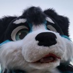 Photo by Azur 👑 💕🎉 (@AzurCollie)