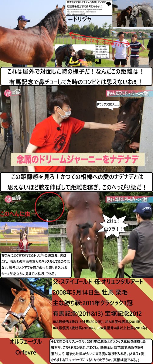 ドリームジャーニー オルフェーヴル まとめ売り ハルカの競馬ちゃんねる🏇 on X: 