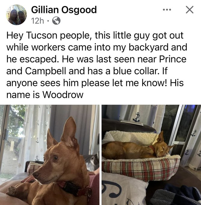 whatsuptucson's tweet photo. https://t.co/o82XOIwI9K