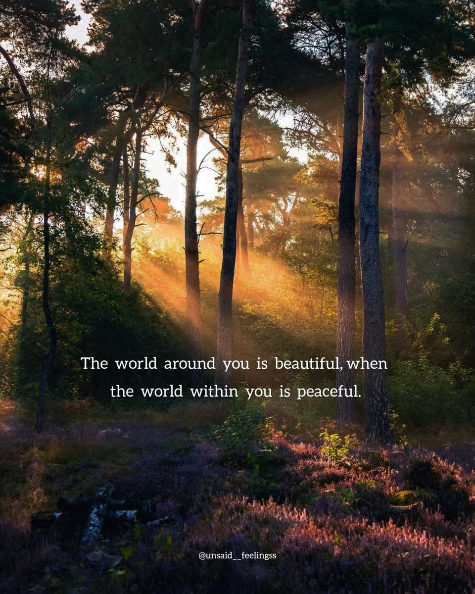 Mind Essentials (@mind_essentials) on Twitter photo 