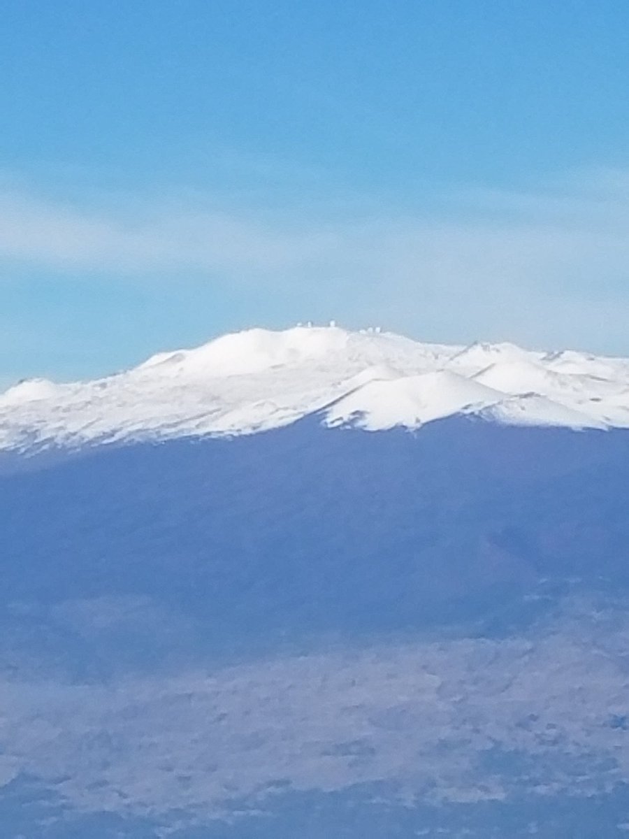 Gerald Fragasso tweet media