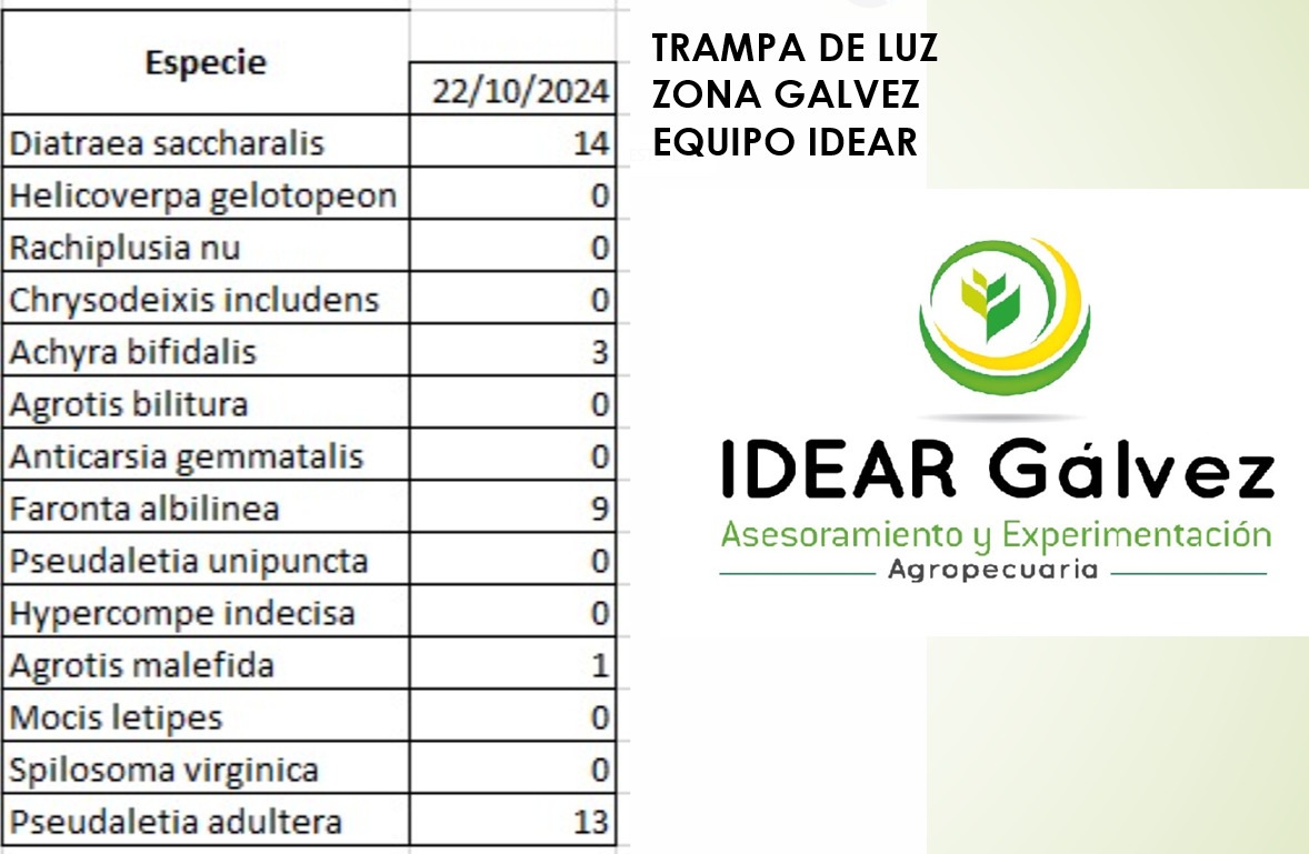 IDEAR Galvez tweet media