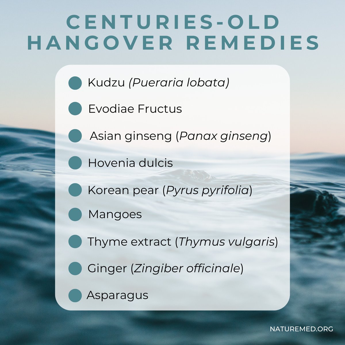 Overindulged last night? Nature has your back! 🌿

Guess what? There's a secret remedy missing from this list! Check out the article in our bio for the mystery hangover fix!

Remember, the best cure is prevention. Stay safe and drink responsibly! 💚