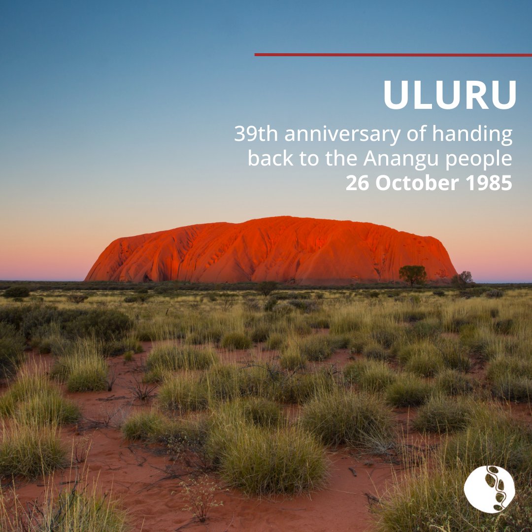 Aurora Education Foundation tweet media