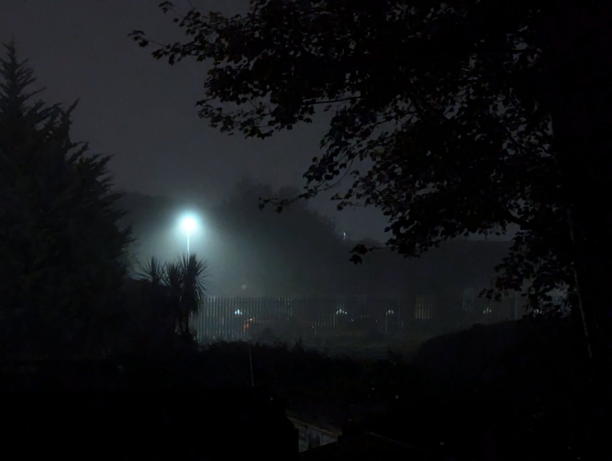 The mist outside is very atmospheric