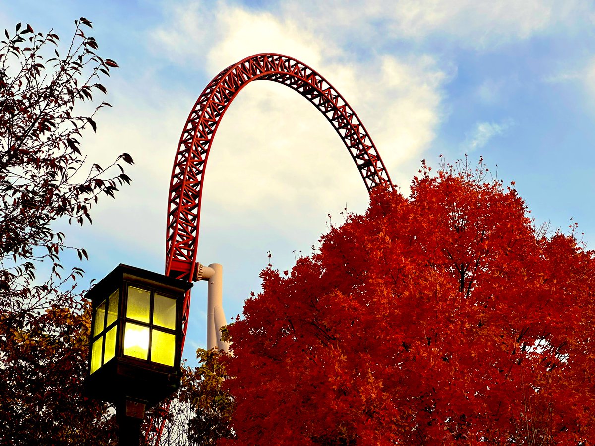 Beautiful fall foliage and an awesome coaster. Oh, and…