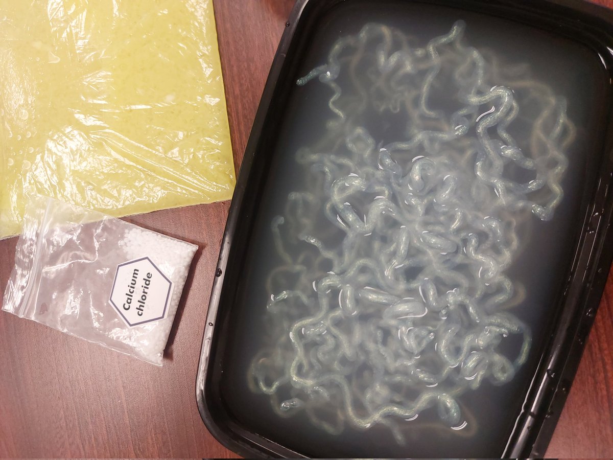 Such a fun conference day! Learning about Digital Integration + MakerMindset and BioMaking! 💻🔬 (No that's not noodles - it's algae string!) Can't wait to bring this all into my classroom!
<a href="/brilliant_labs/">Brilliant Labs / Labos Créatifs</a> @NSTALL <a href="/CCRCE_NS/">CCRCE</a> 
#biomaking #digitalliteracy #unsdg
