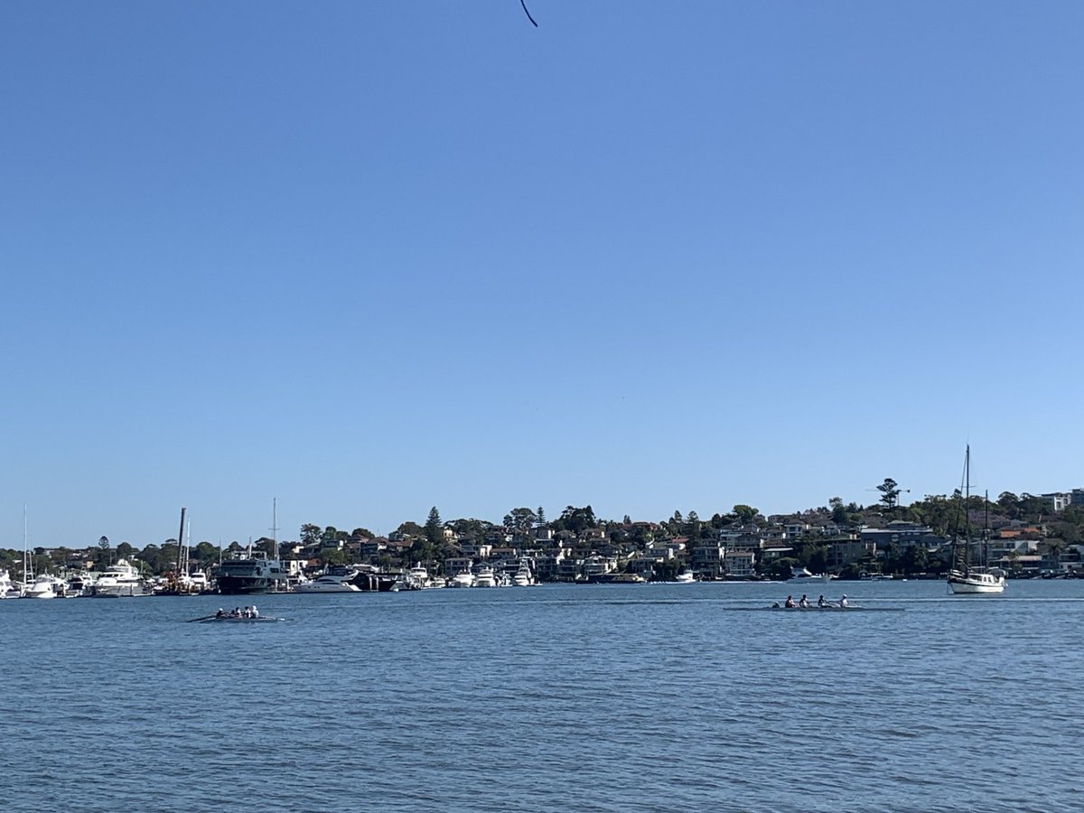 Best office in Sydney … on the wonderful Sydney Harbour watching my son rowing training while I work on my Churchill Fellowship strategy and travel plans. Feeling inspired from national onboarding. Thanks Trust team ⁦@ChurchillTrust⁩ #learnglobally
