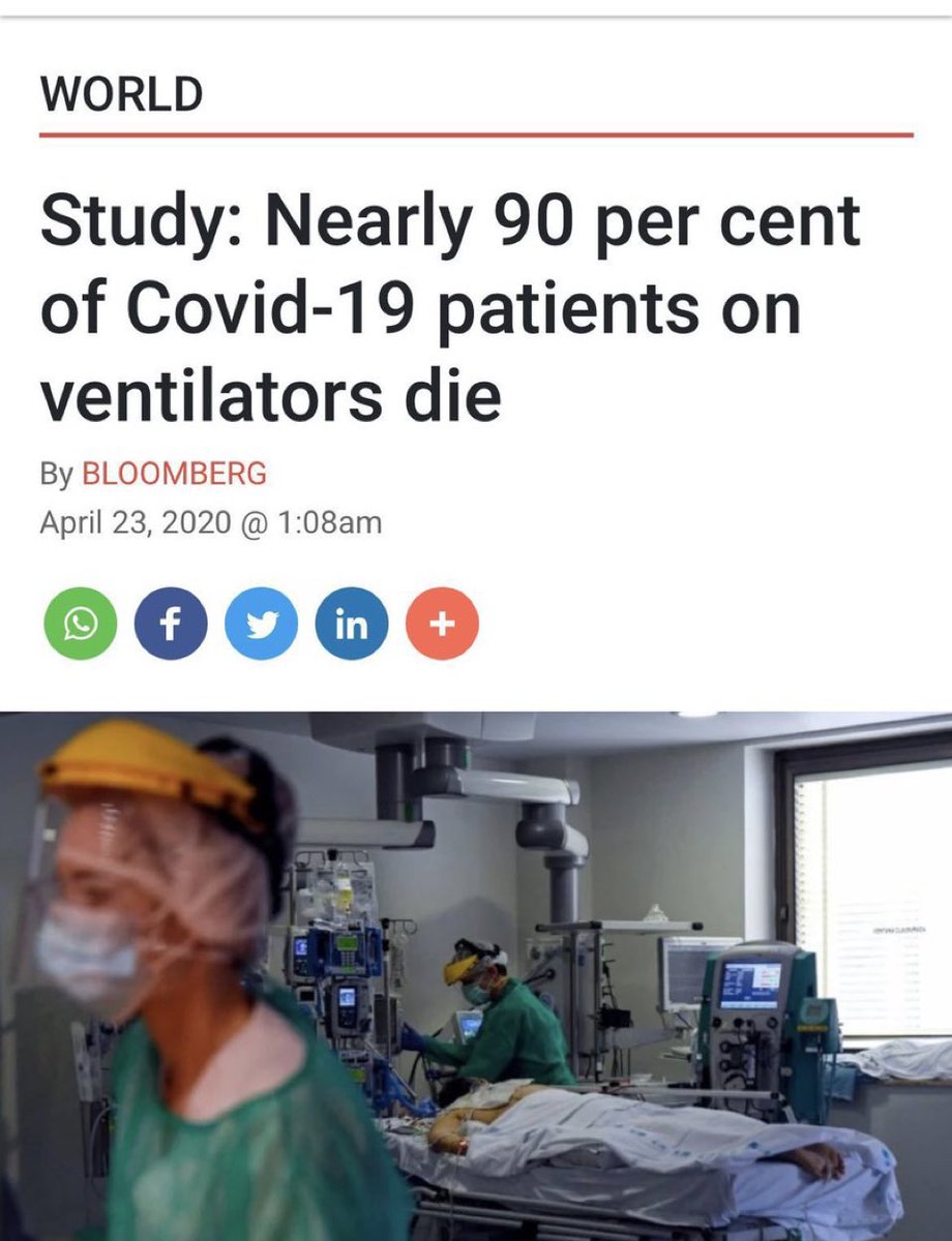 Liz Churchill tweet media