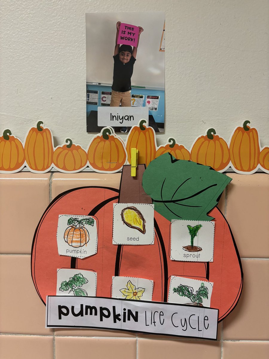 MrsWood__'s tweet photo. Creating our Pumpkin Life Cycles 🎃 for #FineMotorFriday to finish up Week 1/Unit 1 of @BenchmarkEdu after reading “Grow, Pumpkin, Grow!” 🌱 https://t.co/NQvsLKn5RW