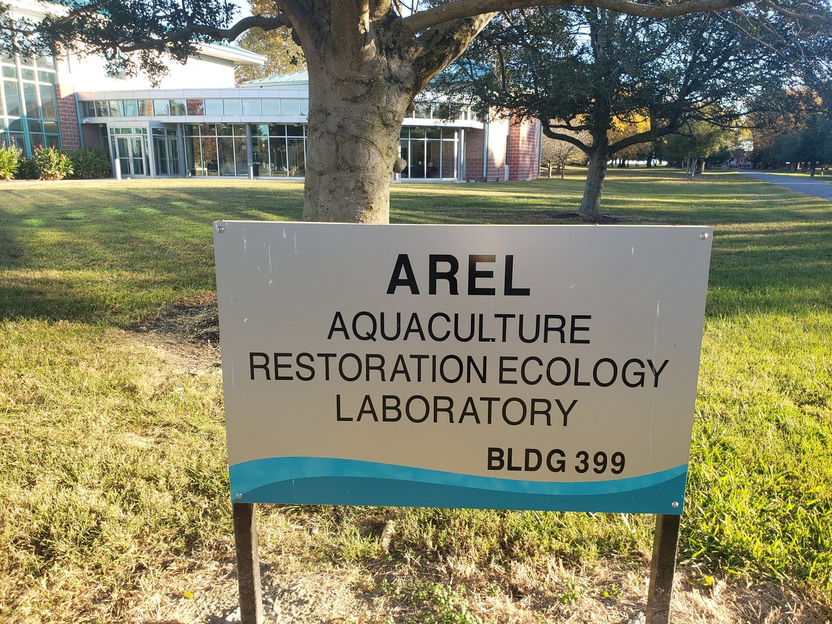I got to visit Horn Point Lab again after a decade since my post-dic 😅 it was amazing meeting the next generation of marine scientists!
