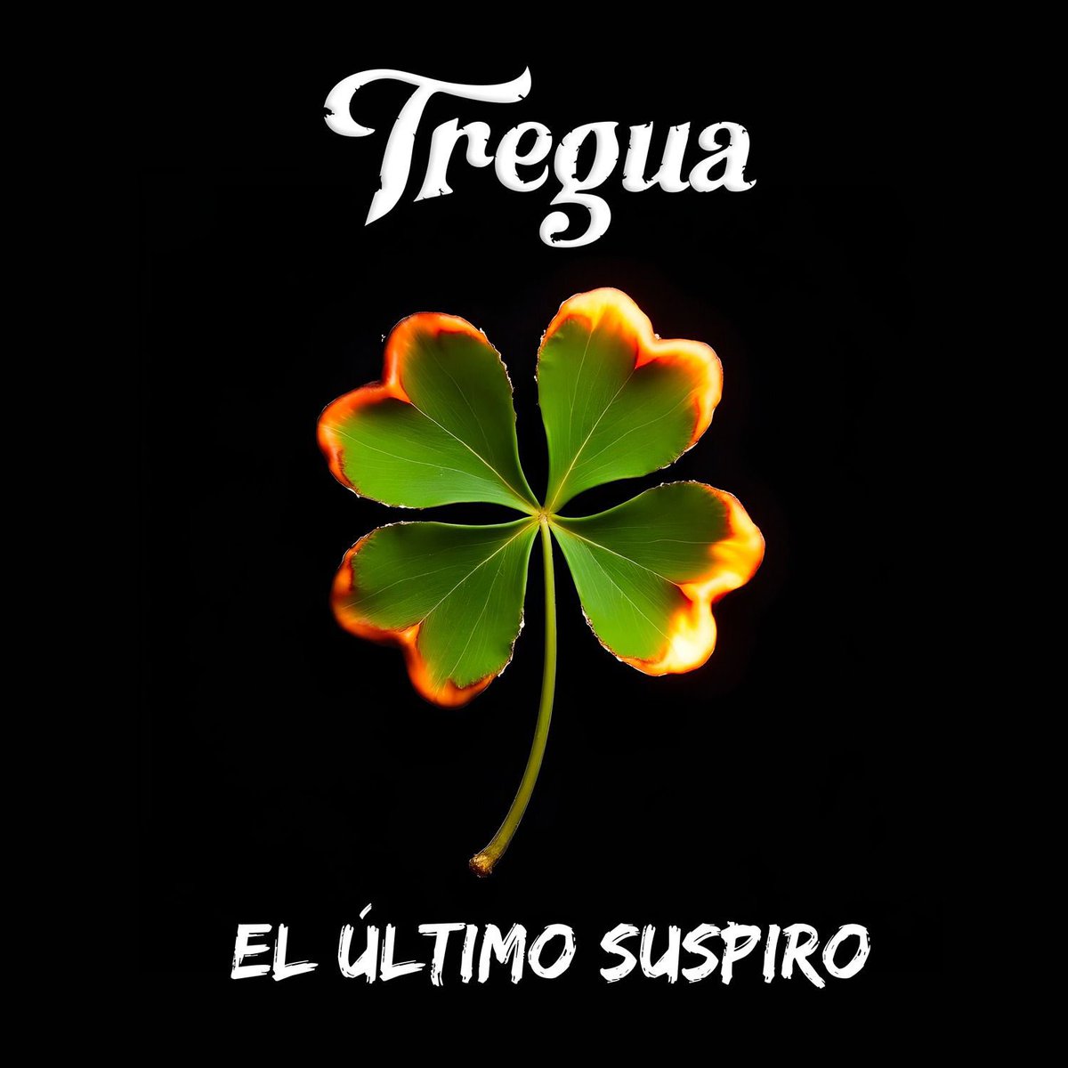 TREGUA tweet media