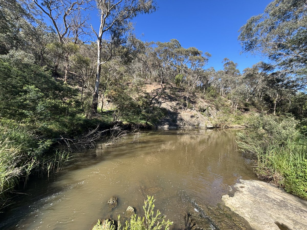 hillandy's tweet image. Found some new trails today… and a bridge I am not 🐓 to cross!