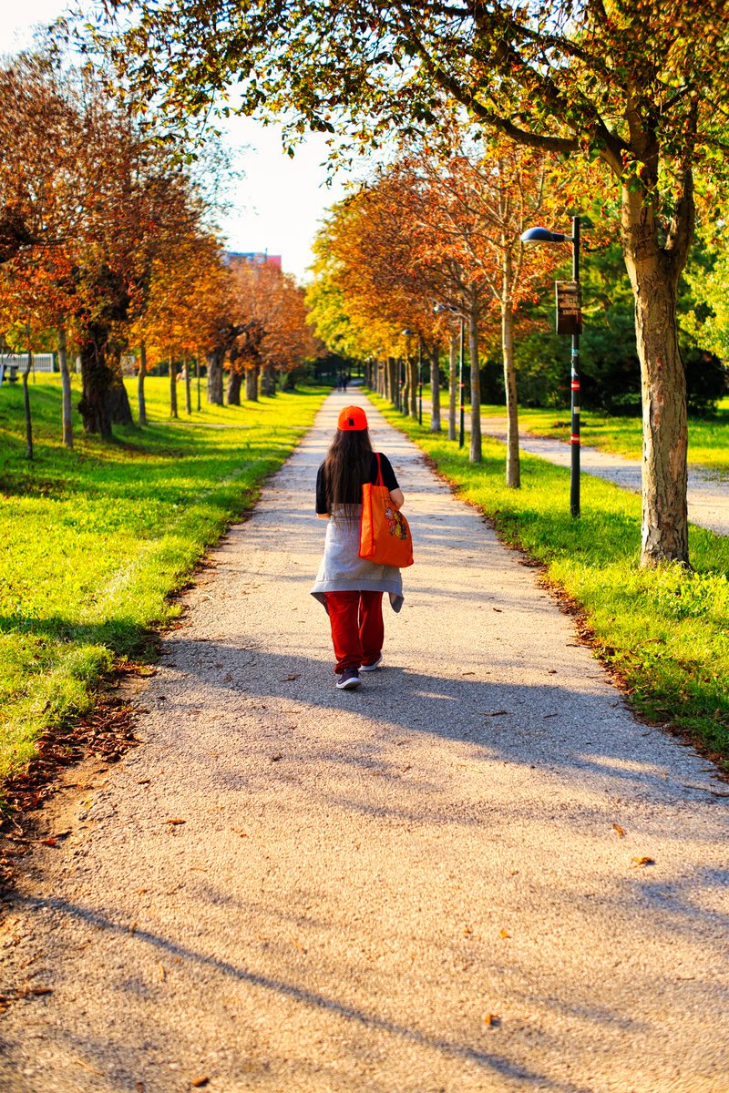 DJairportdisco's tweet photo. Here in Vienna.
#autumn #autumnvibes #autumncolours #autumninvienna #dailywalk #autumnwalk #thepathisthegoal #onmyway #photooftheday #photography #vienna https://t.co/BXtD7p3LfW