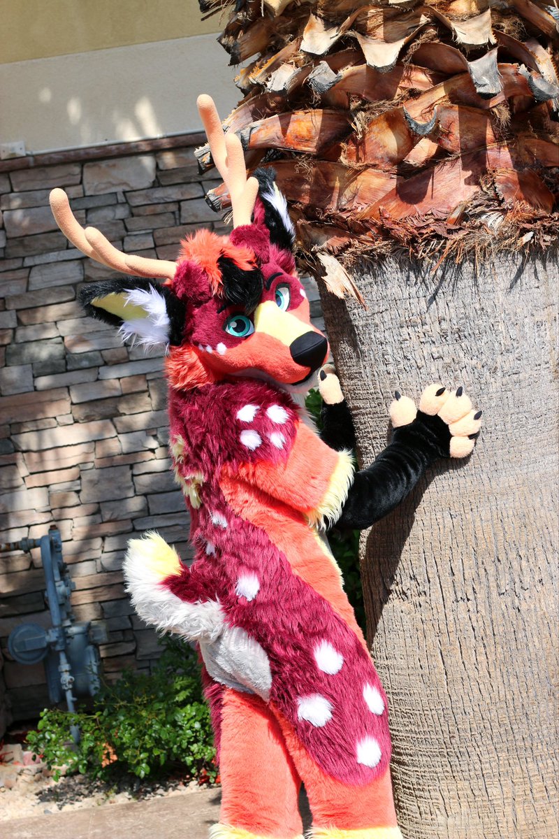 A deer in its natural state being gay af 🦌

#FursuitFriday 
📸:<a href="/HashHyena/">Hash</a>