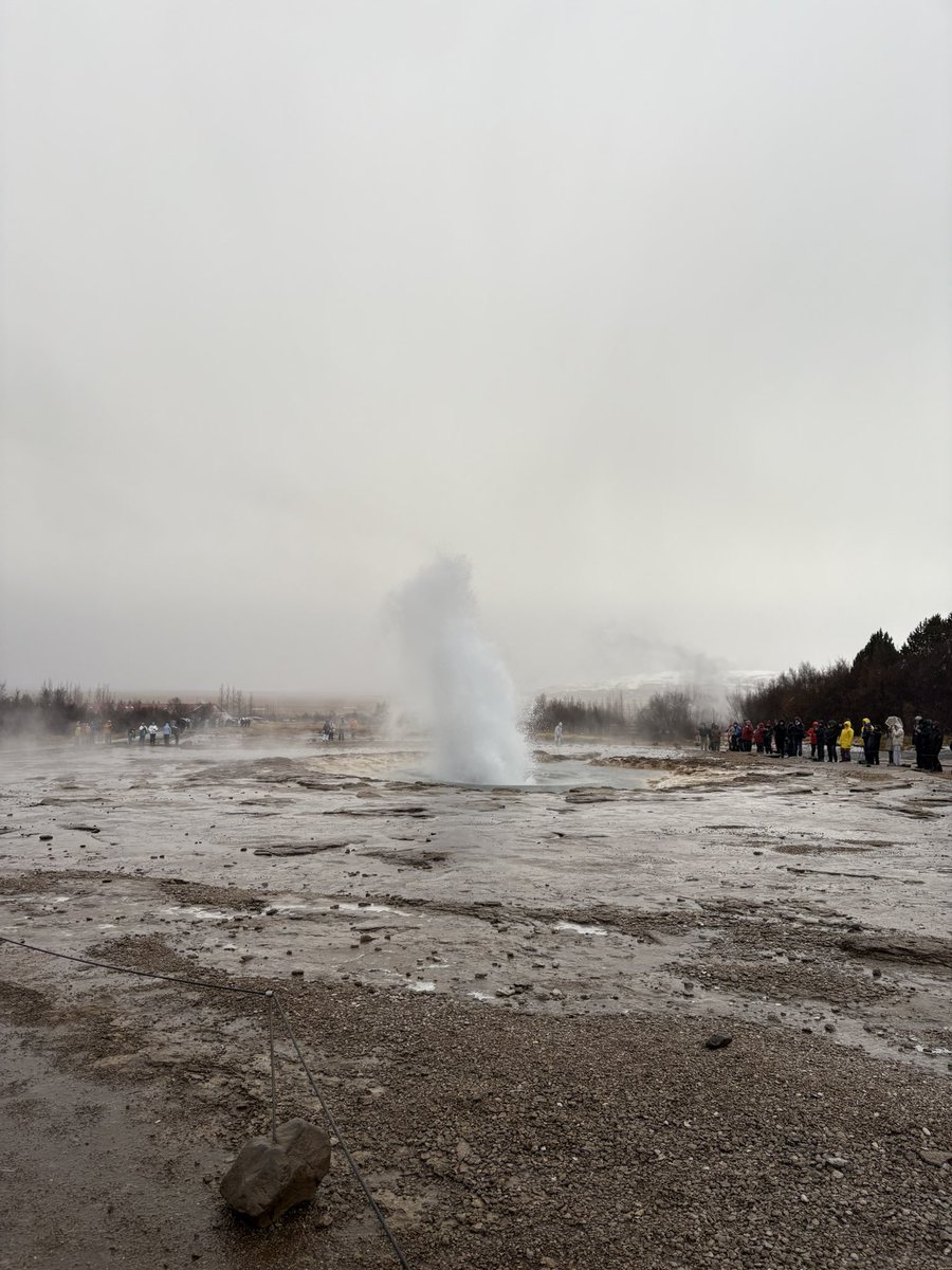 Danielle Foster tweet media