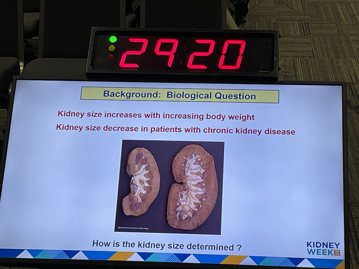 Michael S. Balzer (@ms_balzer) on Twitter photo Instrumental work by Hiroaki Kikuchi from <a href="/MarkKnepper6/">Mark Knepper</a> lab on what instigates renal compensatory growth #kidneyweek2024 Instrumental work by Hiroaki Kikuchi from <a href="/MarkKnepper6/">Mark Knepper</a> lab on what instigates renal compensatory growth #kidneyweek2024