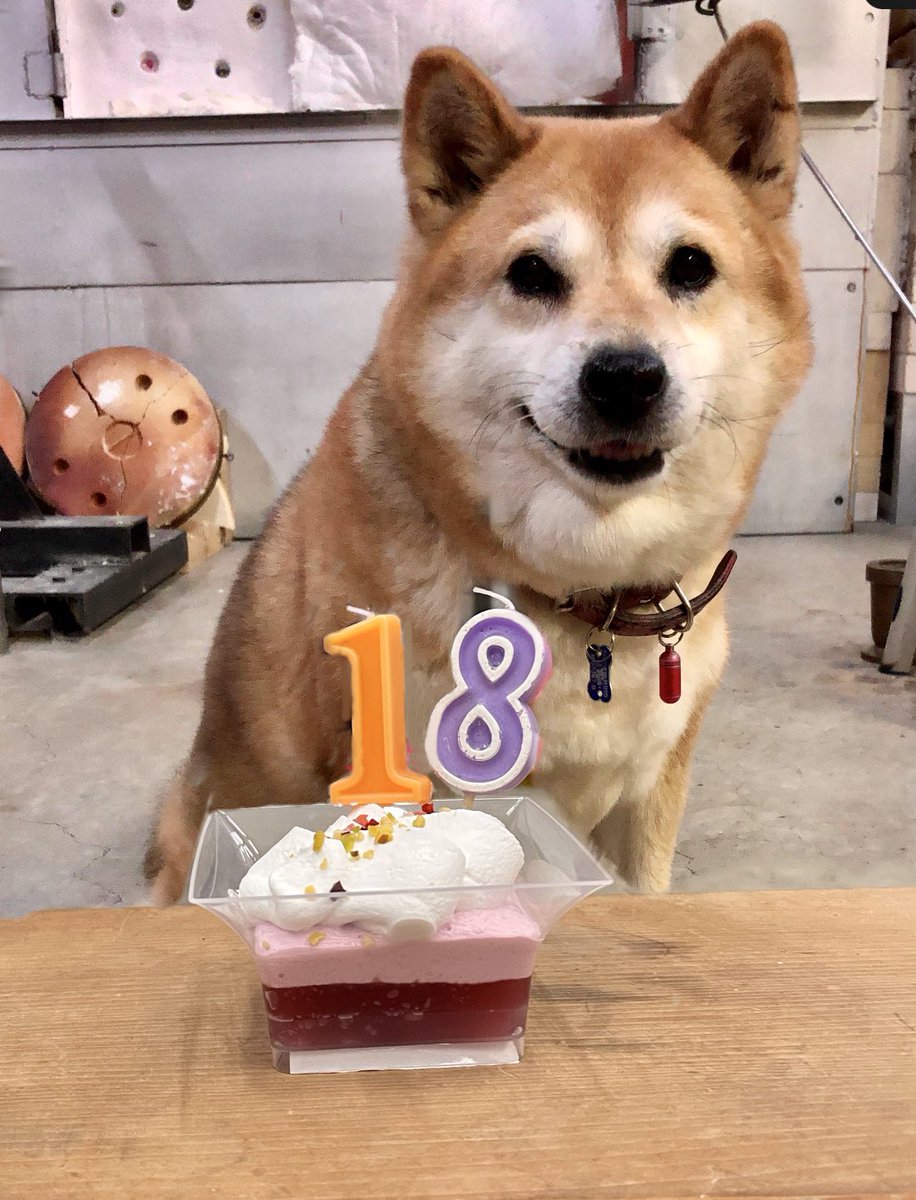 ムーコ tweet media