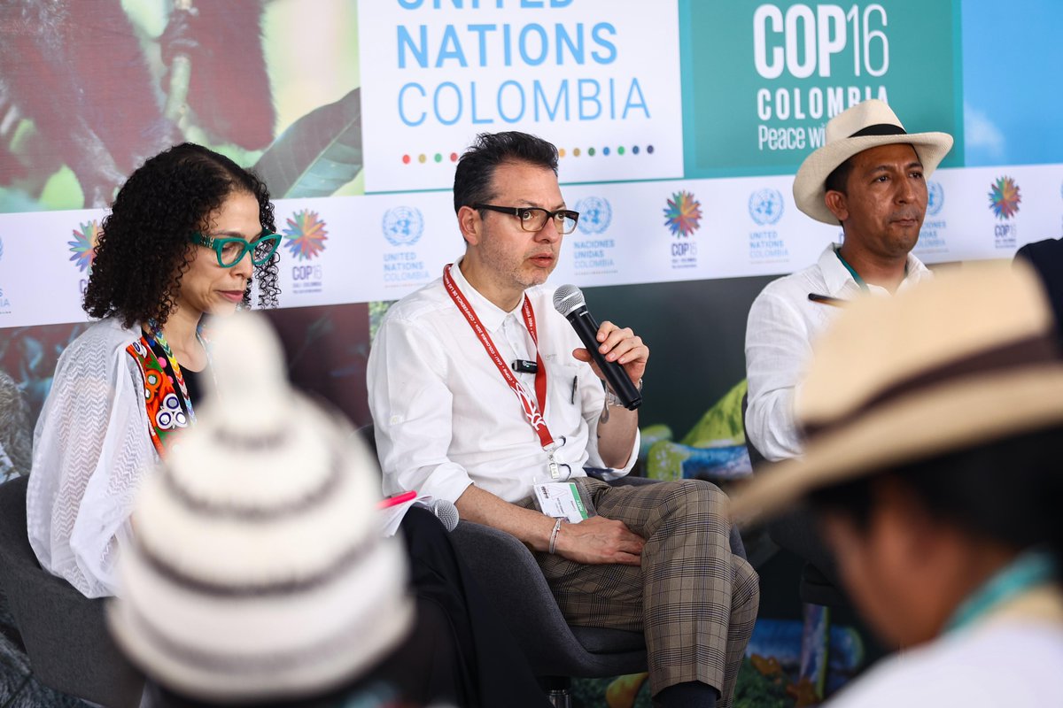 mincultura's tweet photo. ¿Cuál es la importancia de los sistemas de conocimientos tradicionales de los pueblos originarios en la protección y cuidado de la biodiversidad en el mundo? En la Zona Azul de la #COP16Colombia, en Cali, conversamos sobre los vínculos entre la diversidad biológica y cultural desde la Sierra Nevada de Gonawindúa.
 
"El reconocimiento se produce desde un lugar que debería entregar autonomía, porque son ustedes los que nos han enseñado el cuidado. Si seguimos separando la diversidad de la cultura no vamos a superar los retos que tenemos": dijo el ministro @jdcorreau en su intervención.